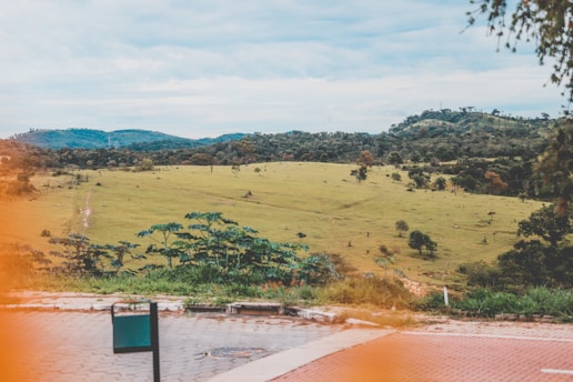 A peaceful battlefield landscape with interpretive signs and lush greenery under a bright sky.