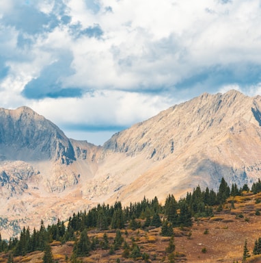 a view of a mountain range with trees on the side