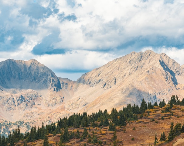 a view of a mountain range with trees on the side