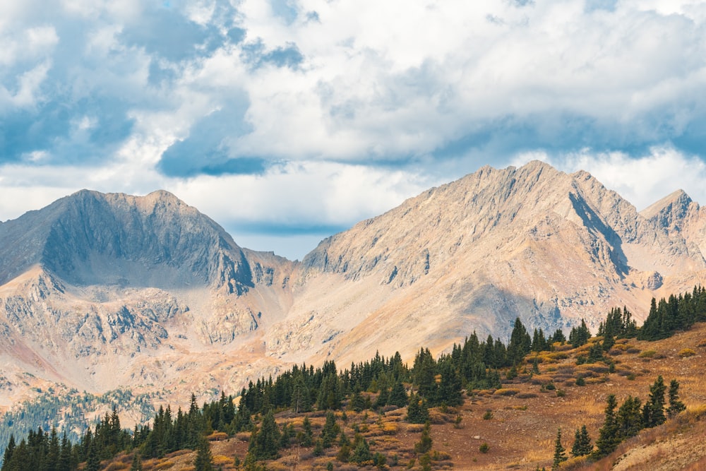 a view of a mountain range with trees on the side