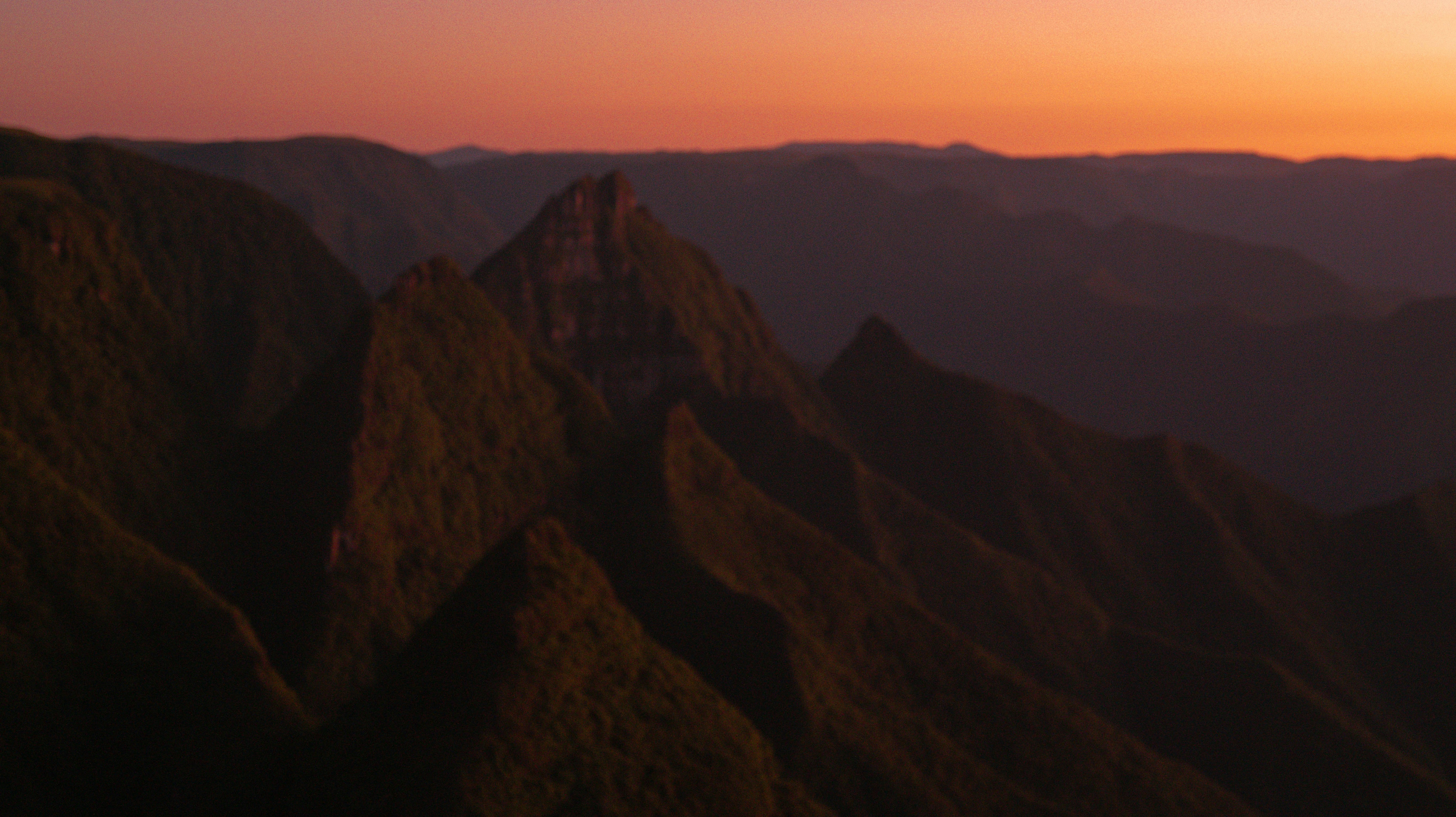 a bird flying over a mountain range at sunset