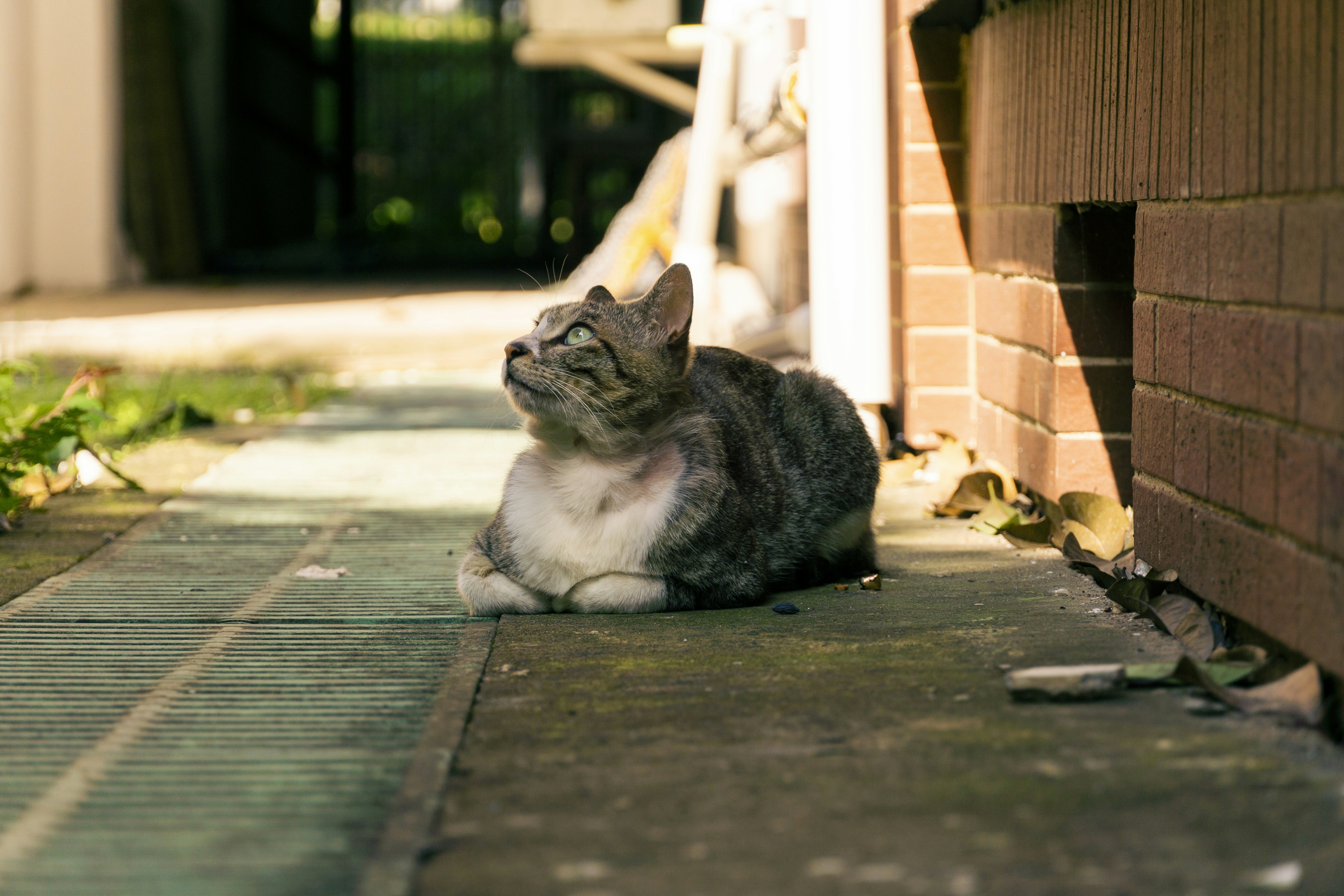 Photo by rachel2brich