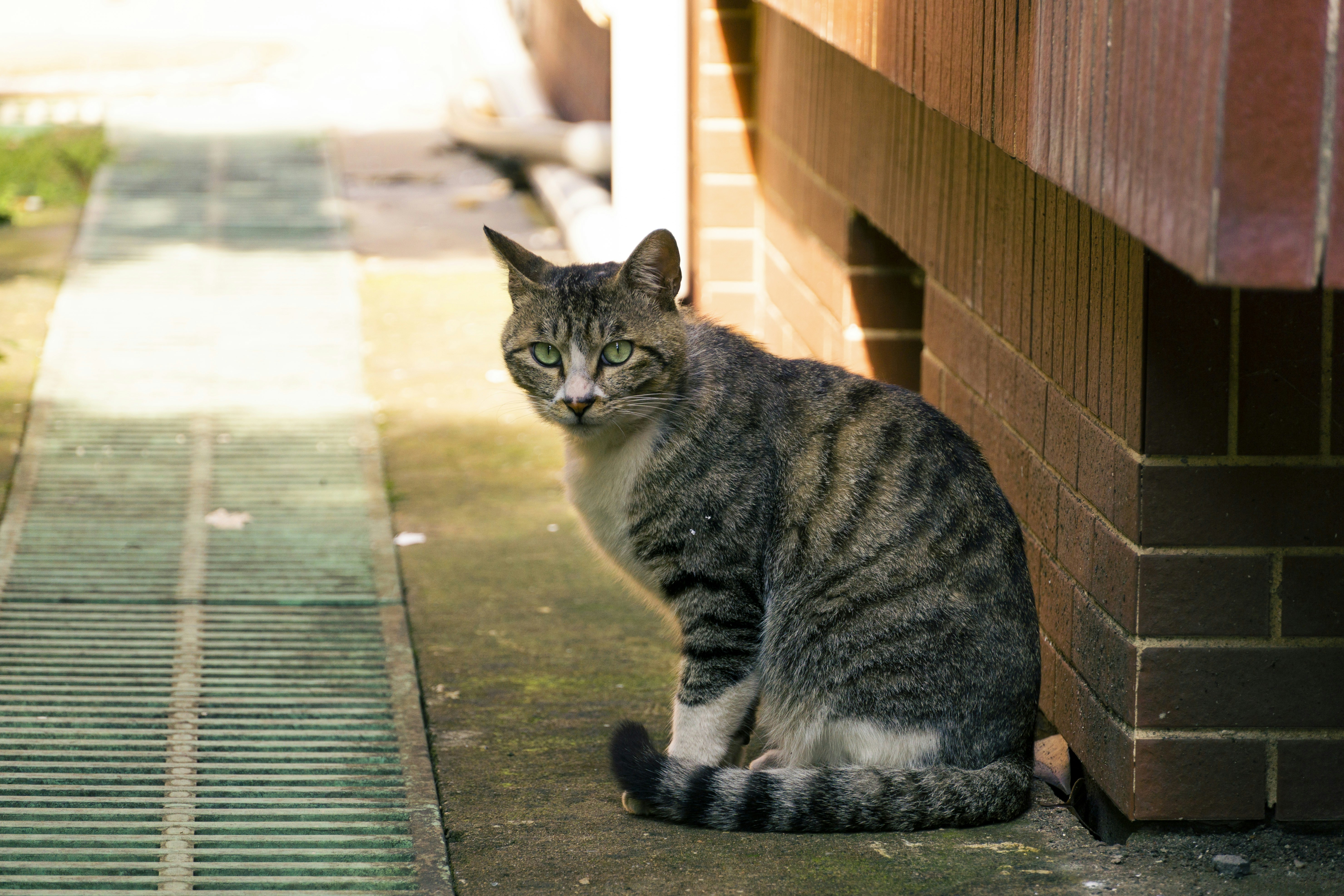 Photo by rachel2brich