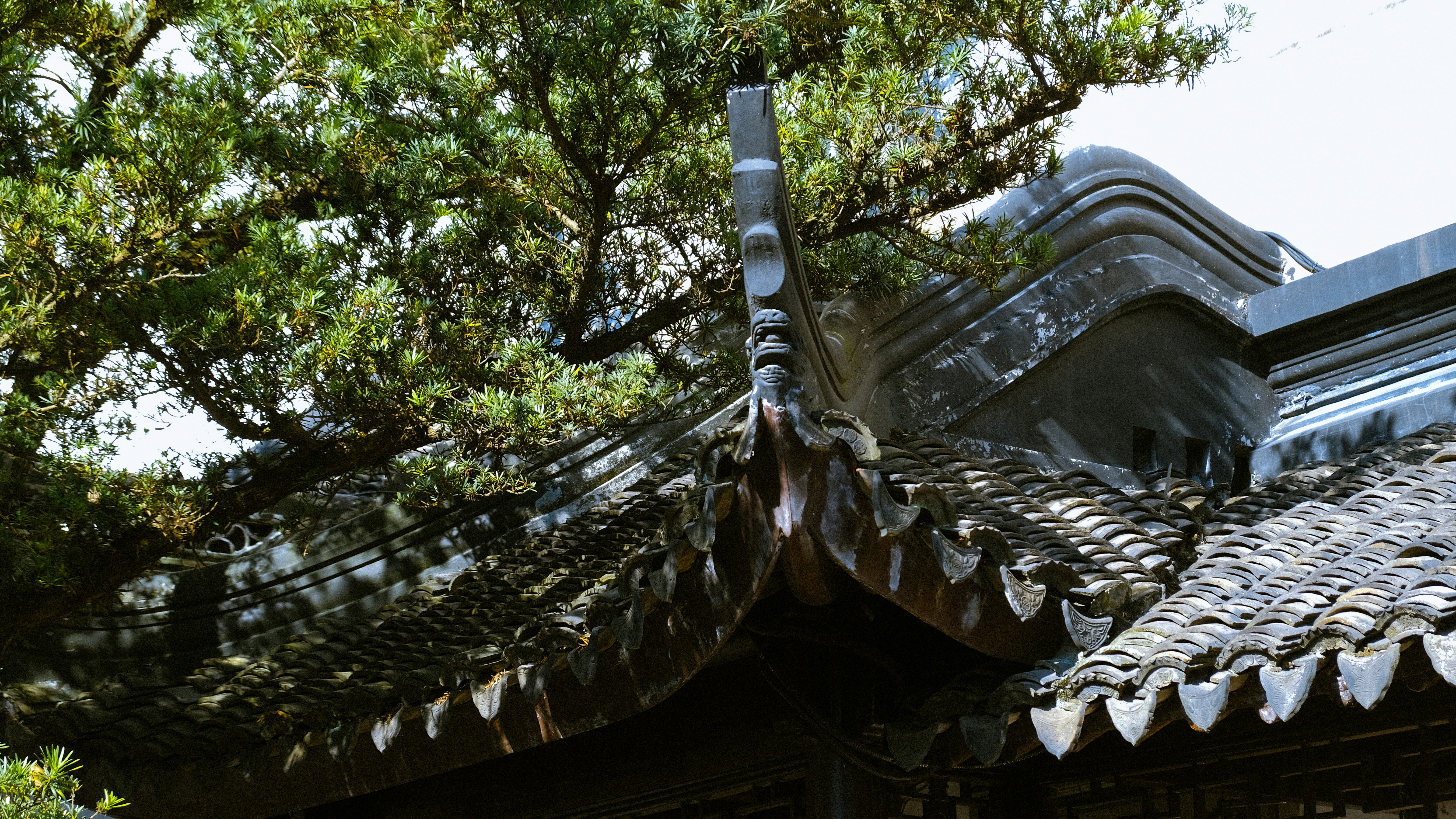 Photo by jpchina