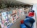 A spacious bookstore with well-organized shelves filled with a variety of books. The shelves are labeled with categories like science, fiction, and classics. Comfortable red and blue chairs are arranged along the window, providing a cozy reading area. Large windows allow natural light to flood the space, creating a warm atmosphere.