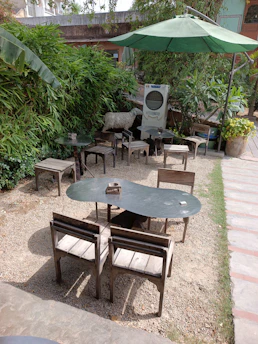 A compact, portable air cooler on a sunny patio with green plants around.