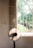 A sunlit room features a standing electric fan positioned in front of a large window with bars. Outside, a lush tree and blooming flowers in a planter box can be seen, partially obscured by the window. The soft light creates gentle shadows on the wall.