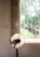 A sunlit room features a standing electric fan positioned in front of a large window with bars. Outside, a lush tree and blooming flowers in a planter box can be seen, partially obscured by the window. The soft light creates gentle shadows on the wall.