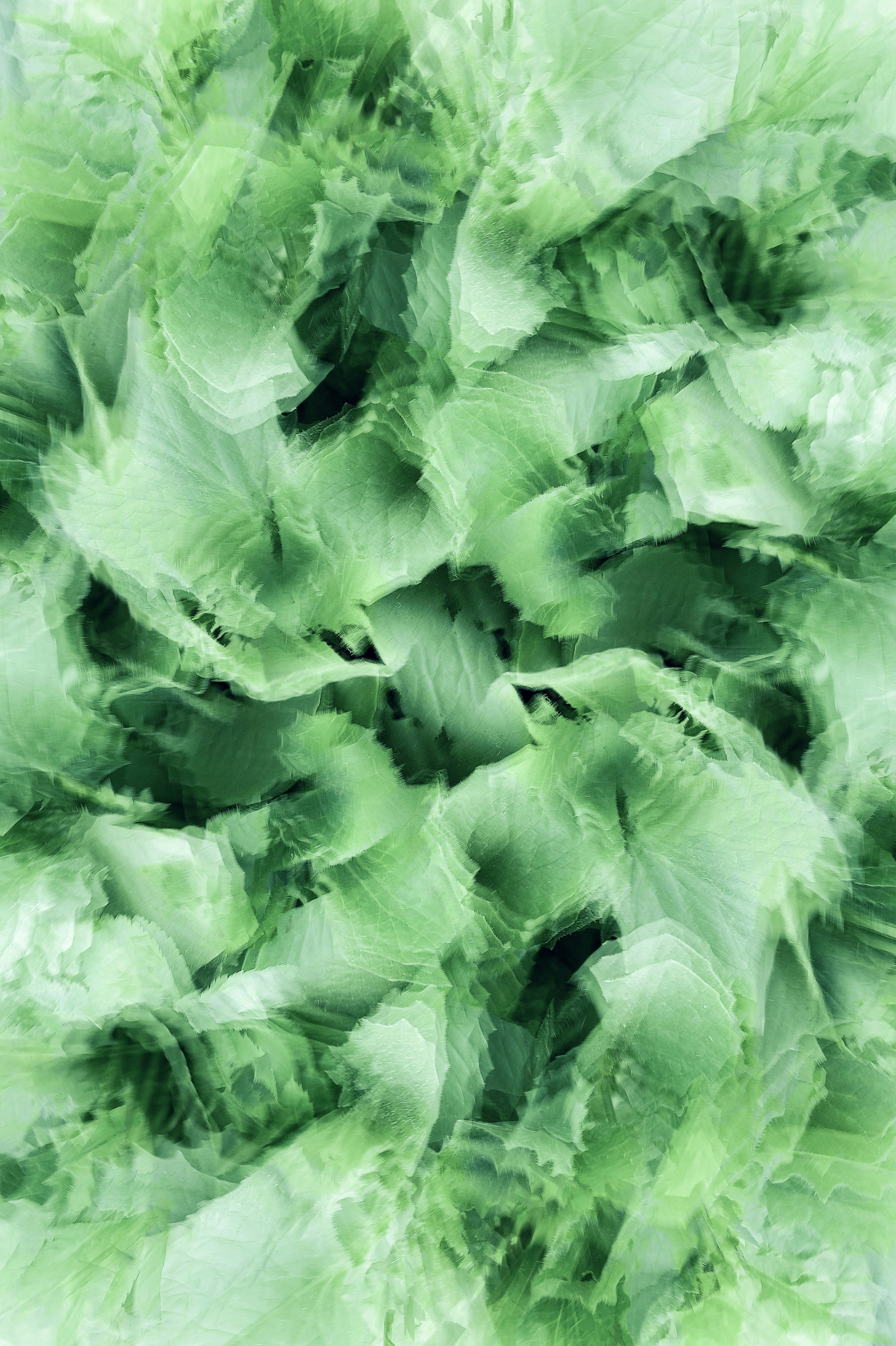 Photo by eugene_golovesov