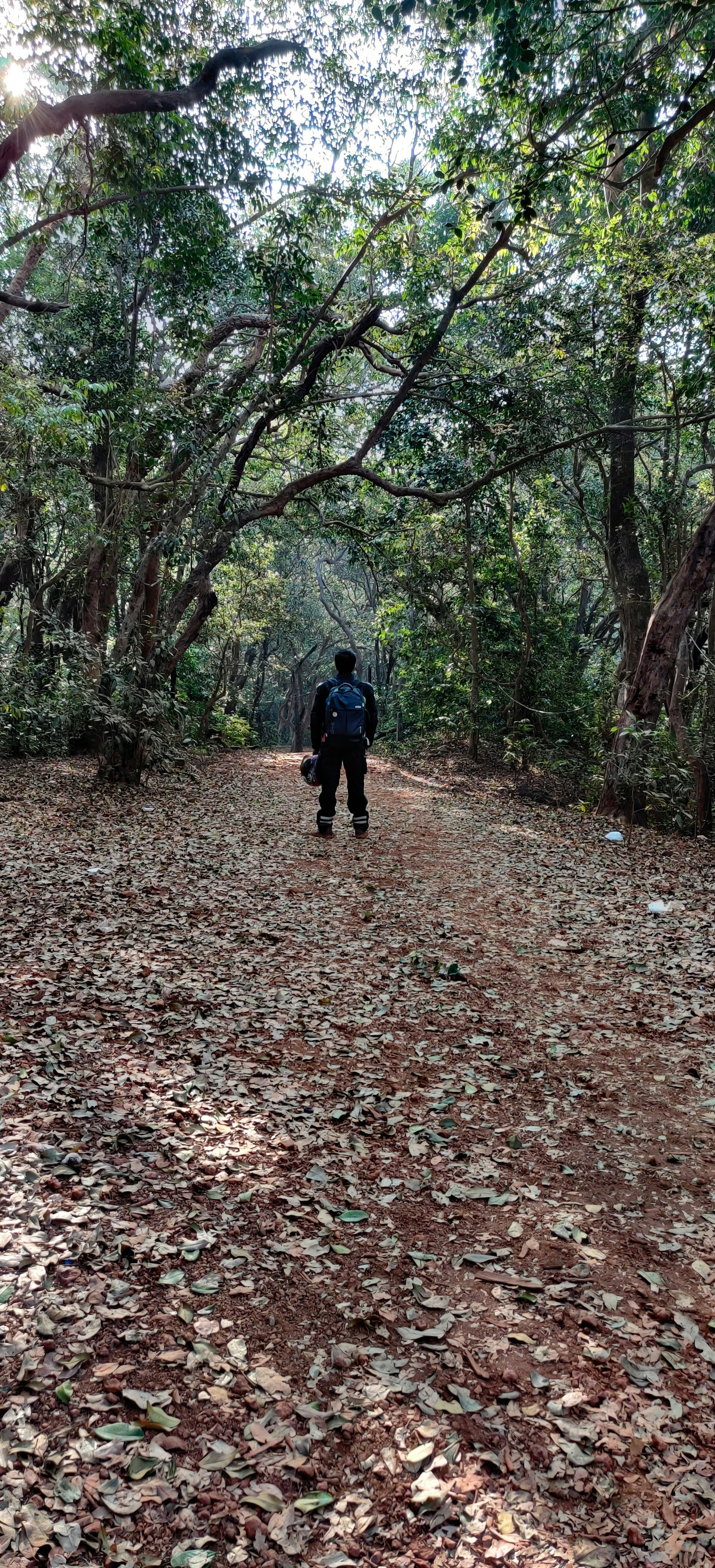 Ultralight Hiking Backpack