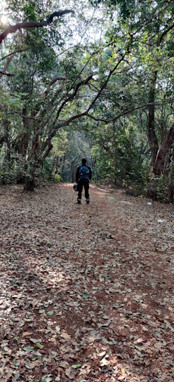 A cheerful hiker wearing a colorful trailnest backpack, standing on a forest trail with sunlight filtering through the trees.