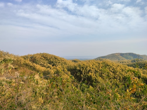 A scenic view of Carroll County, Georgia, showcasing rolling hills and lush greenery under a bright blue sky.