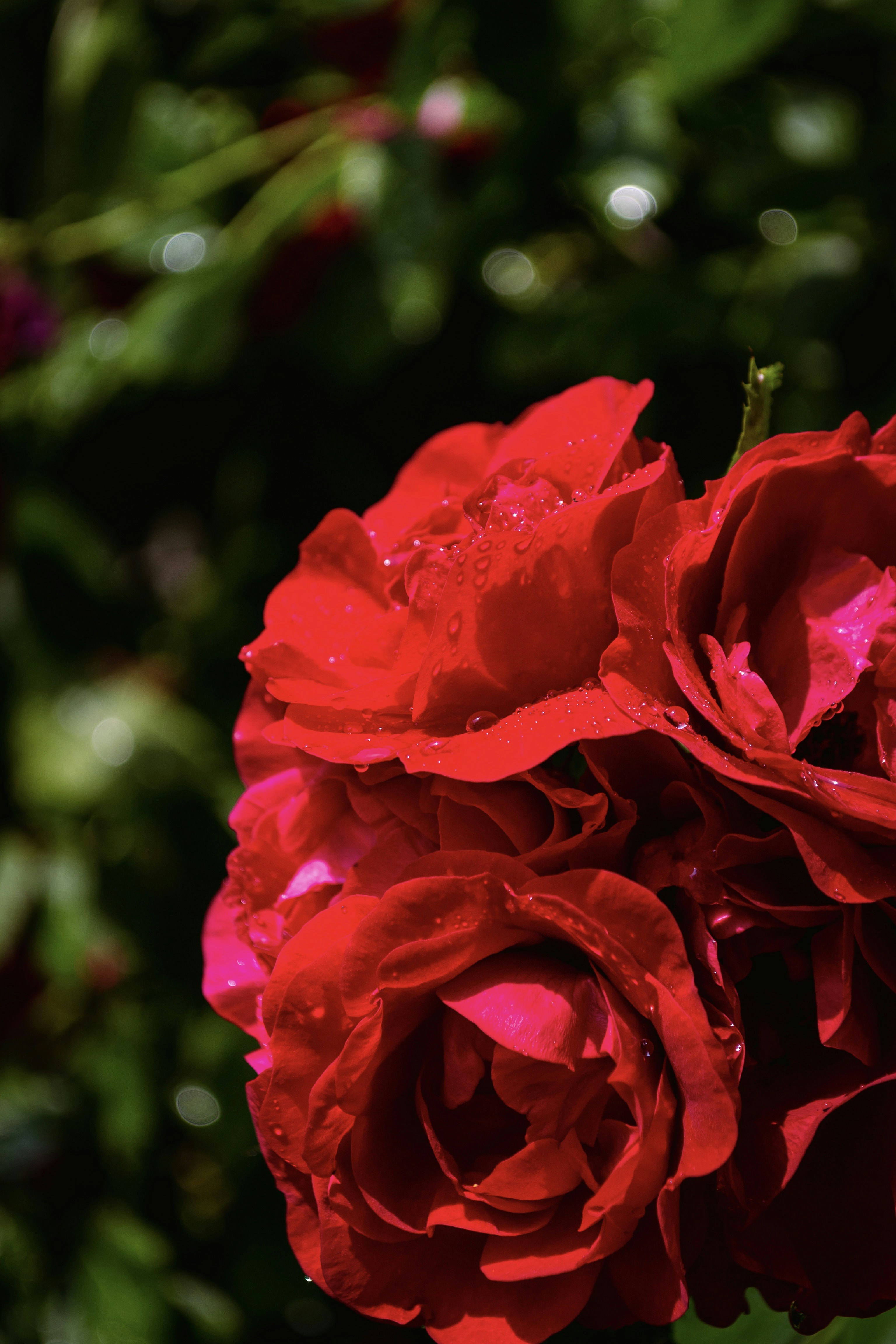 Photo by juliaelliot