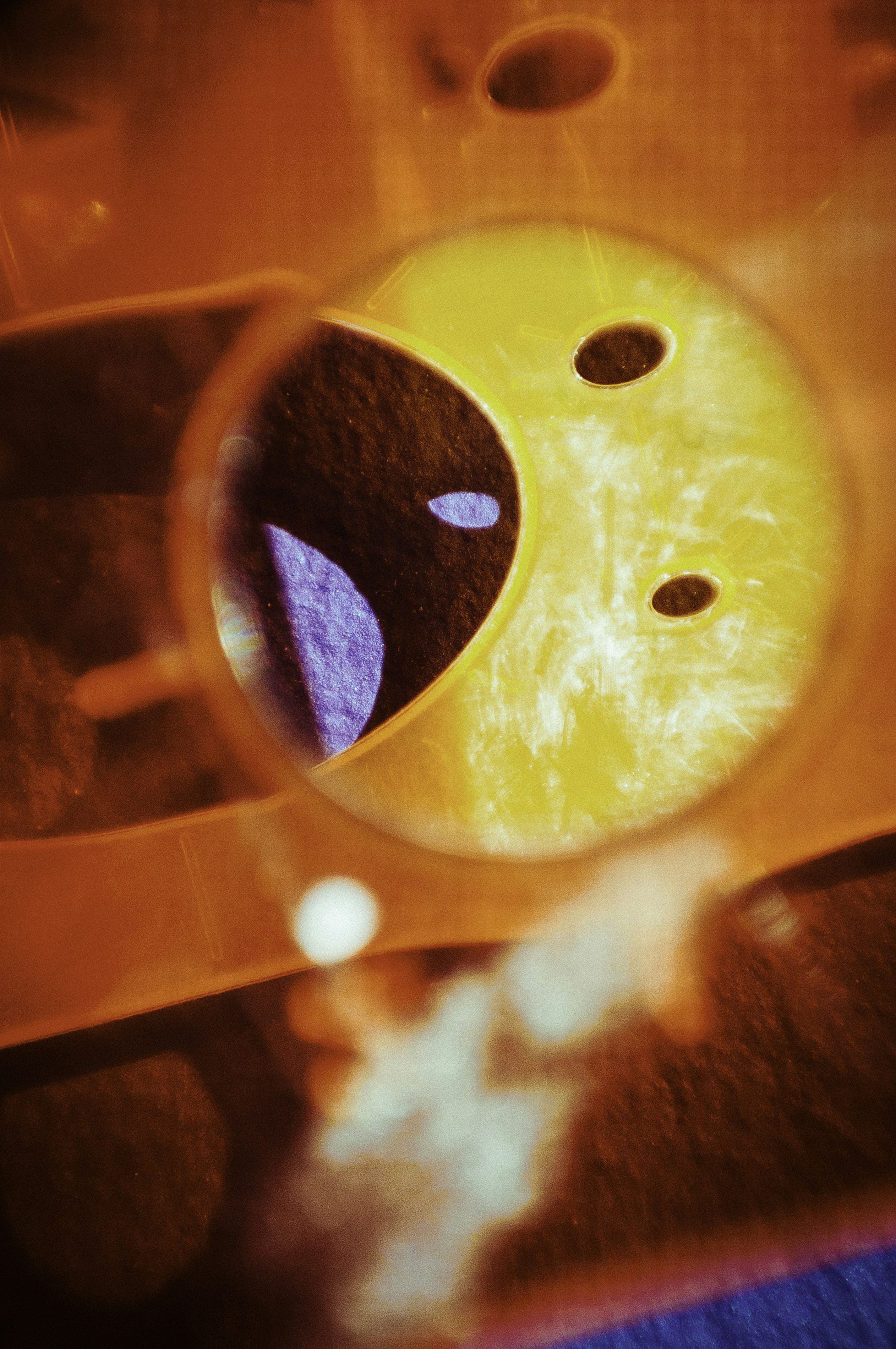 Photo by sindy_suessengut