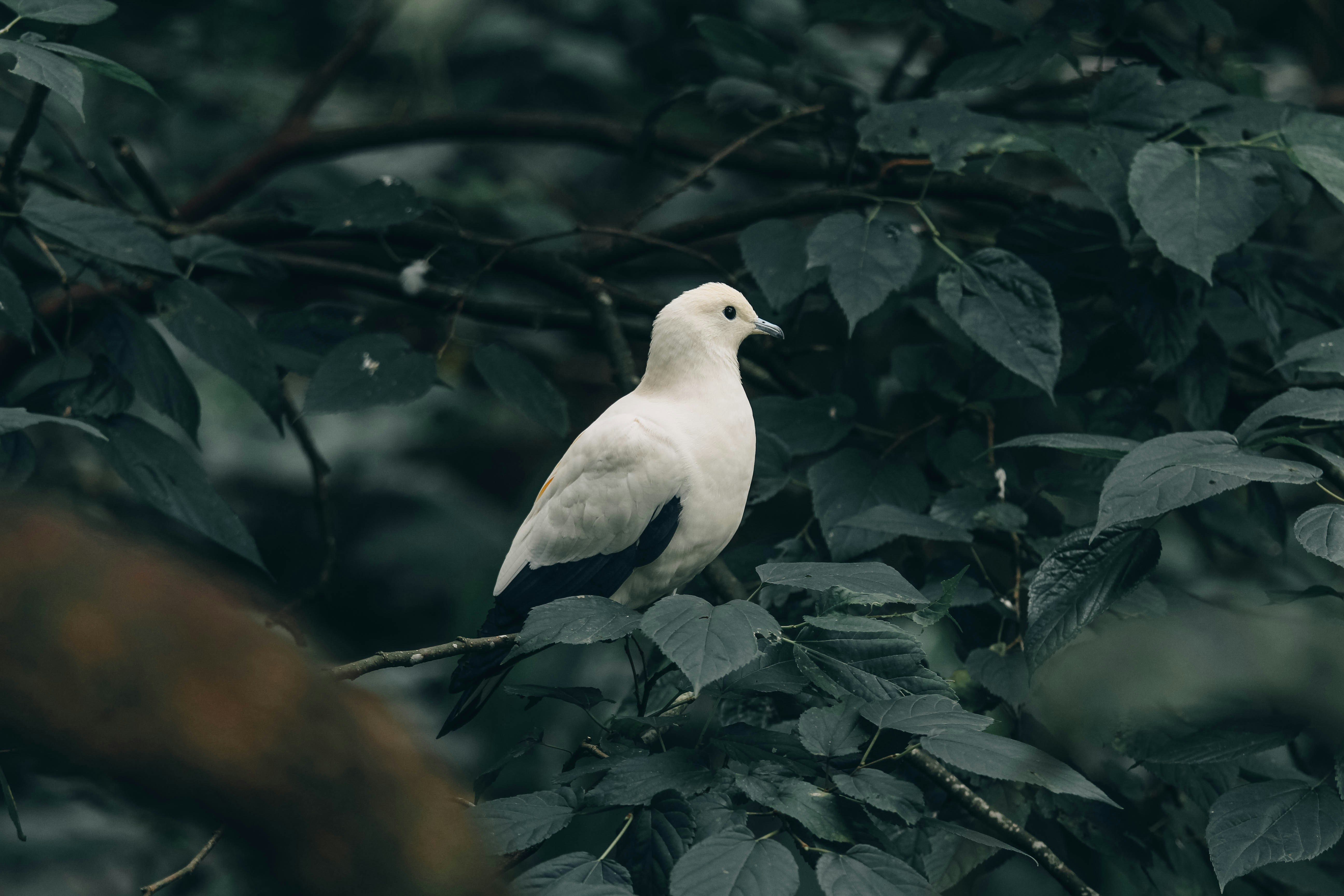 Photo by litemessmor