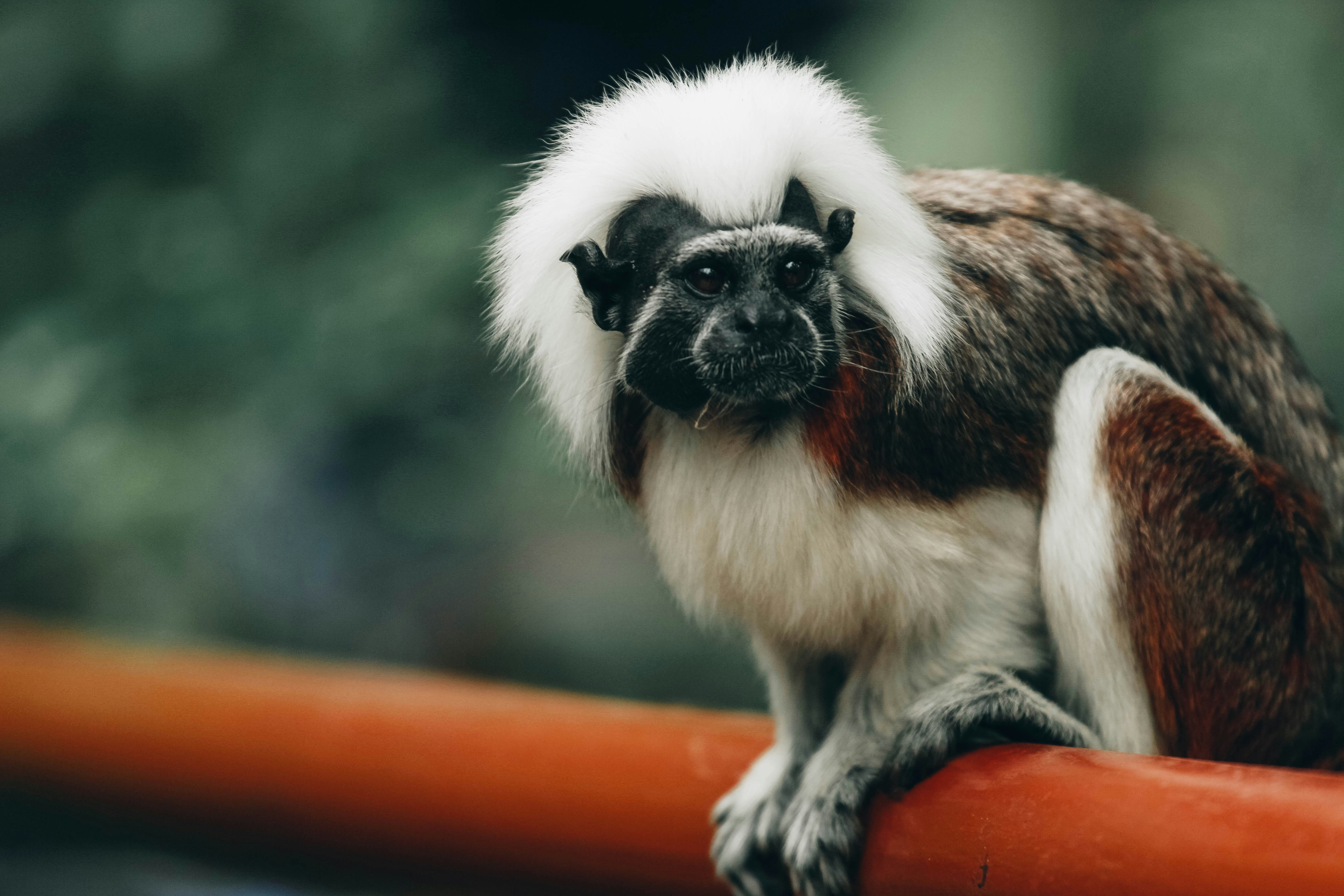 Photo by litemessmor