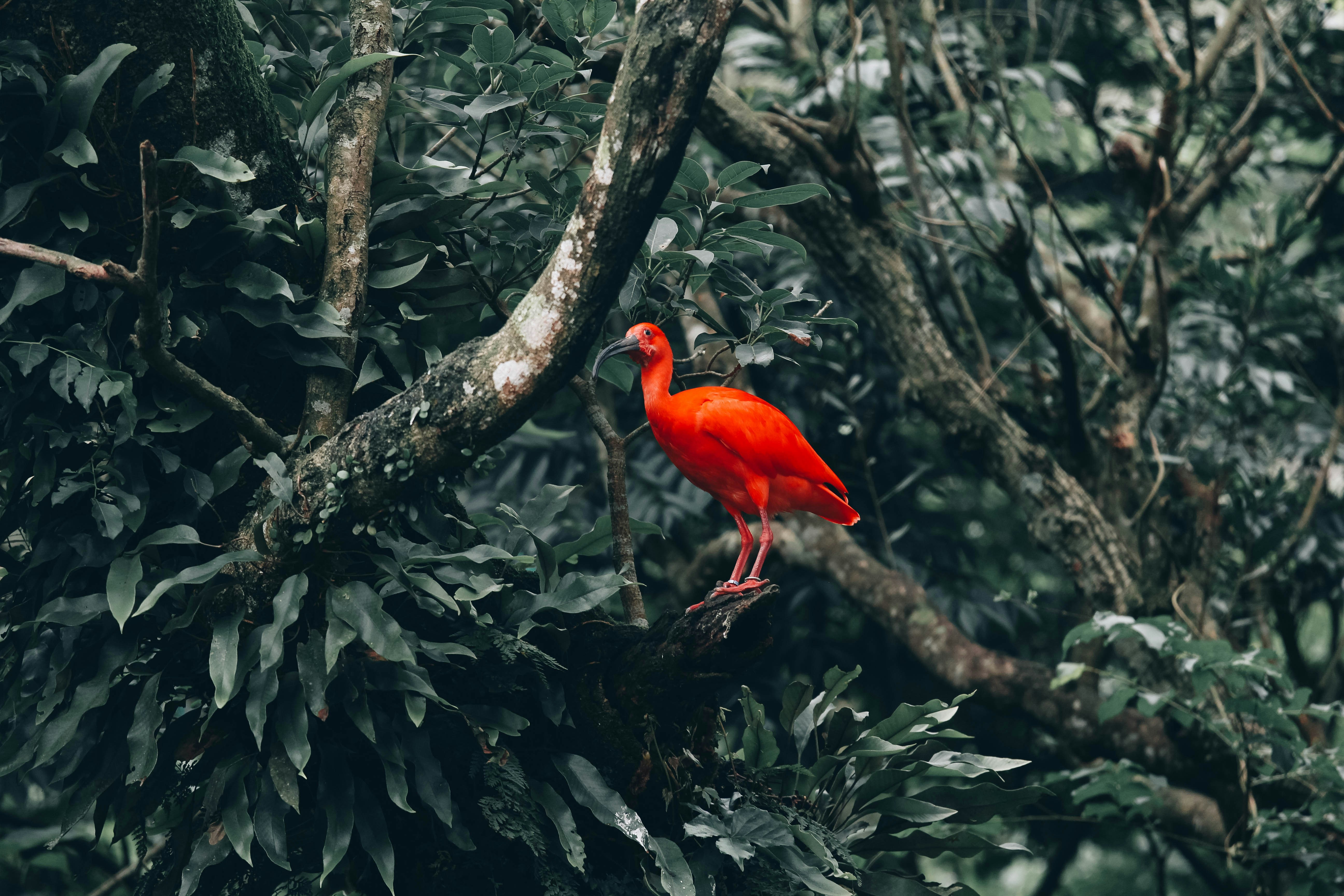 Photo by litemessmor