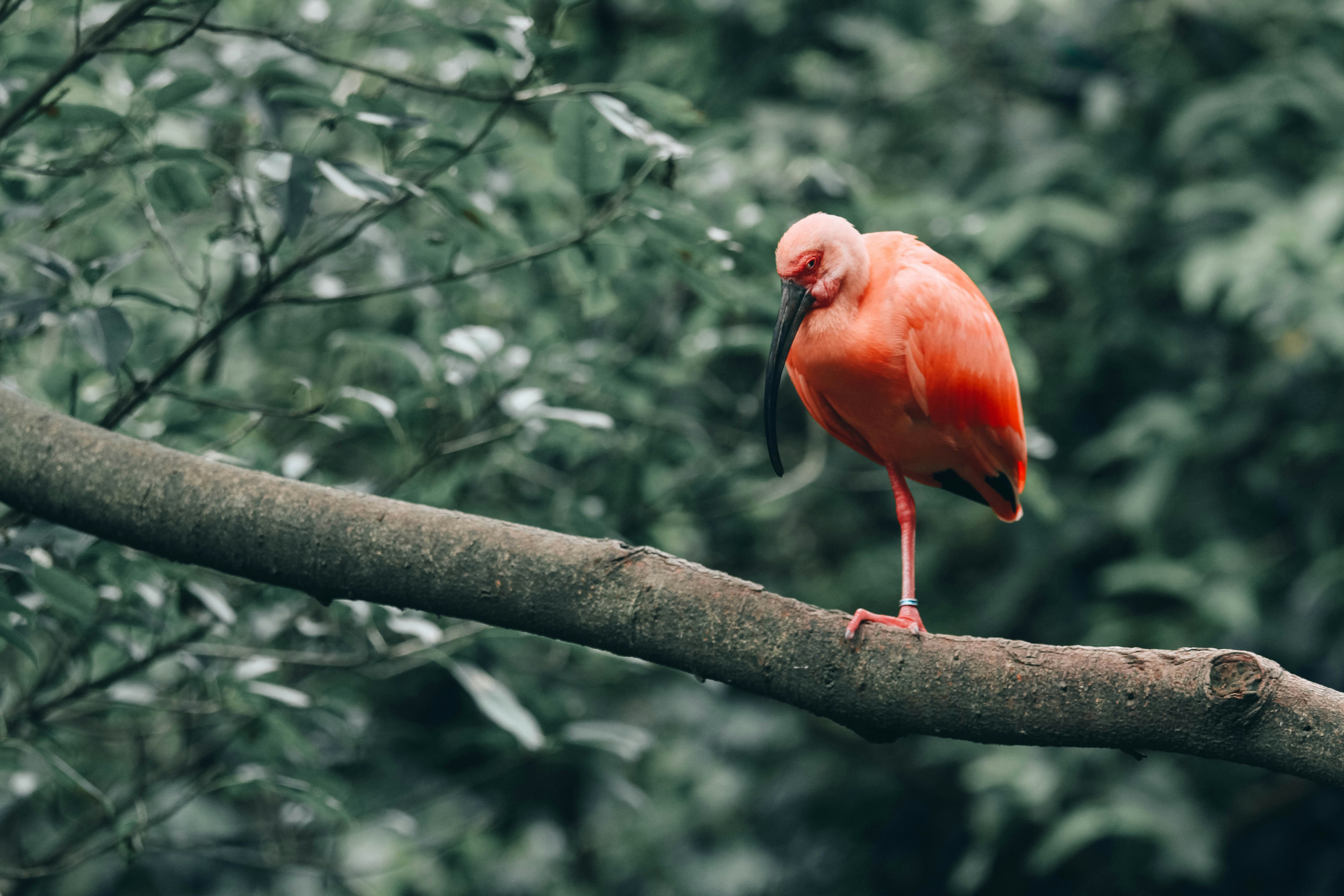 Photo by litemessmor