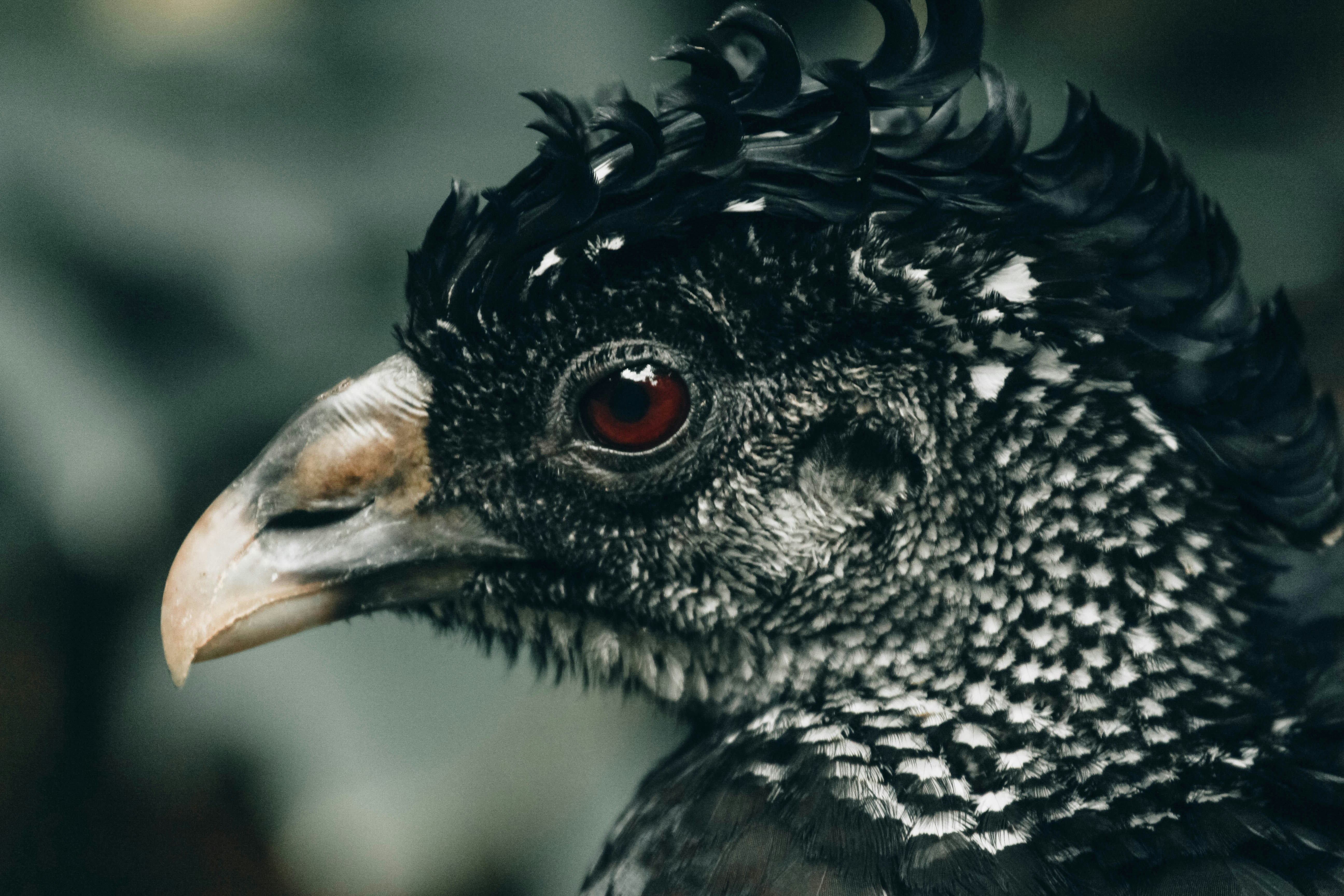 Photo by litemessmor