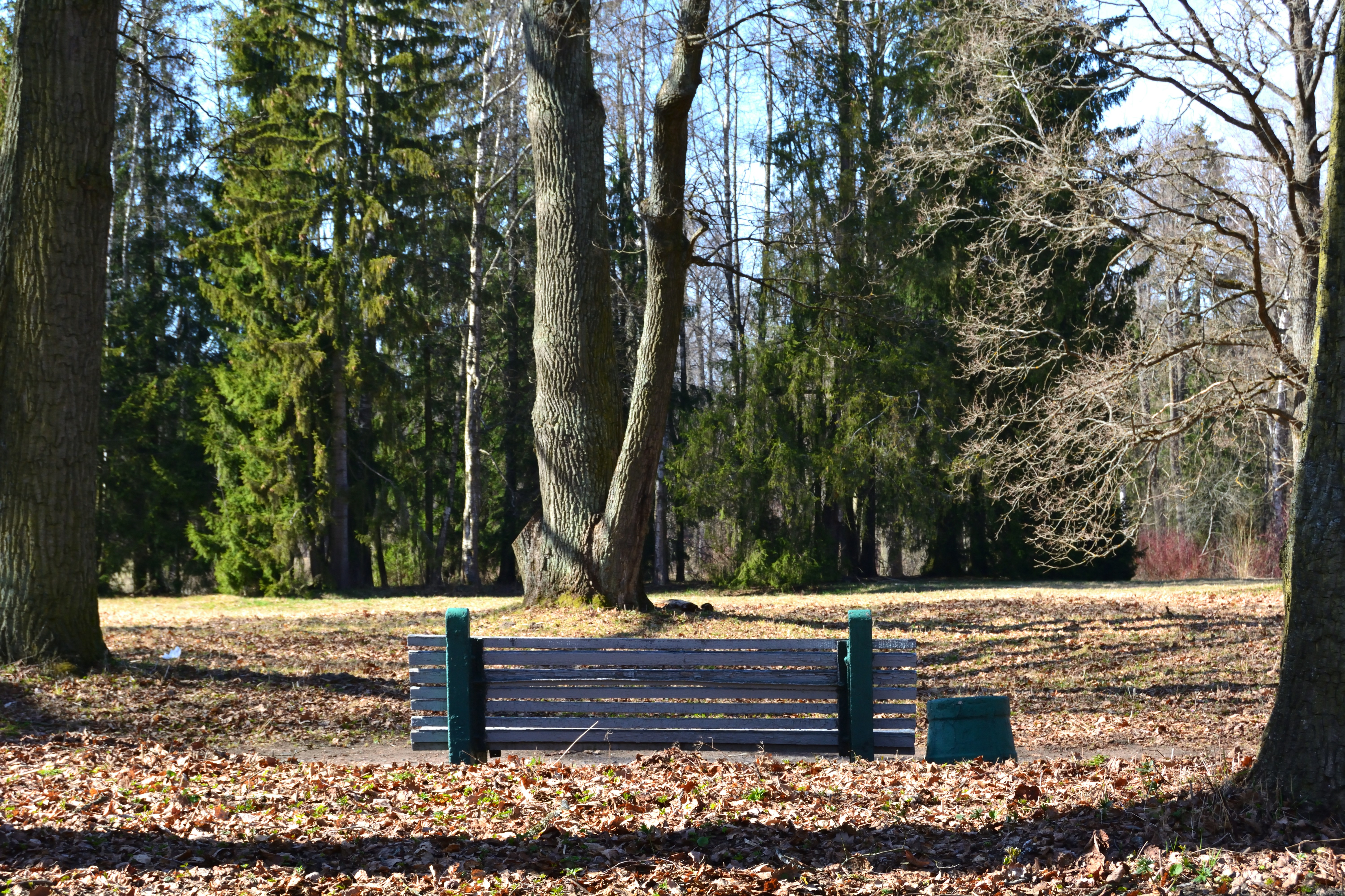 Soderquist Park
