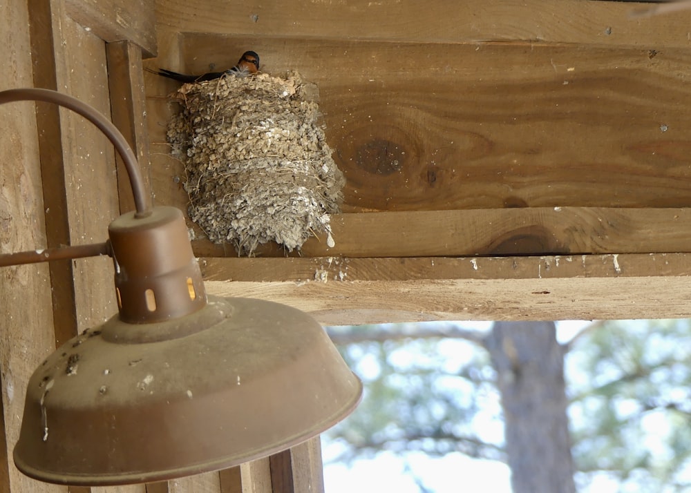 ein Vogelnest, das auf einem Holzdach sitzt