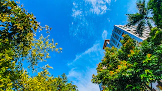 Visual of a condominium building with clear blue skies, symbolizing trust and care.