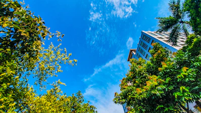 Visual of a condominium building with clear blue skies, symbolizing trust and care.