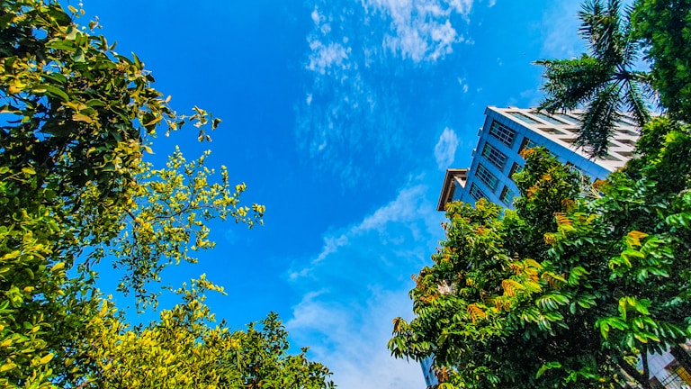 Wide shot of a newly framed building under bright blue sky, symbolizing project success.