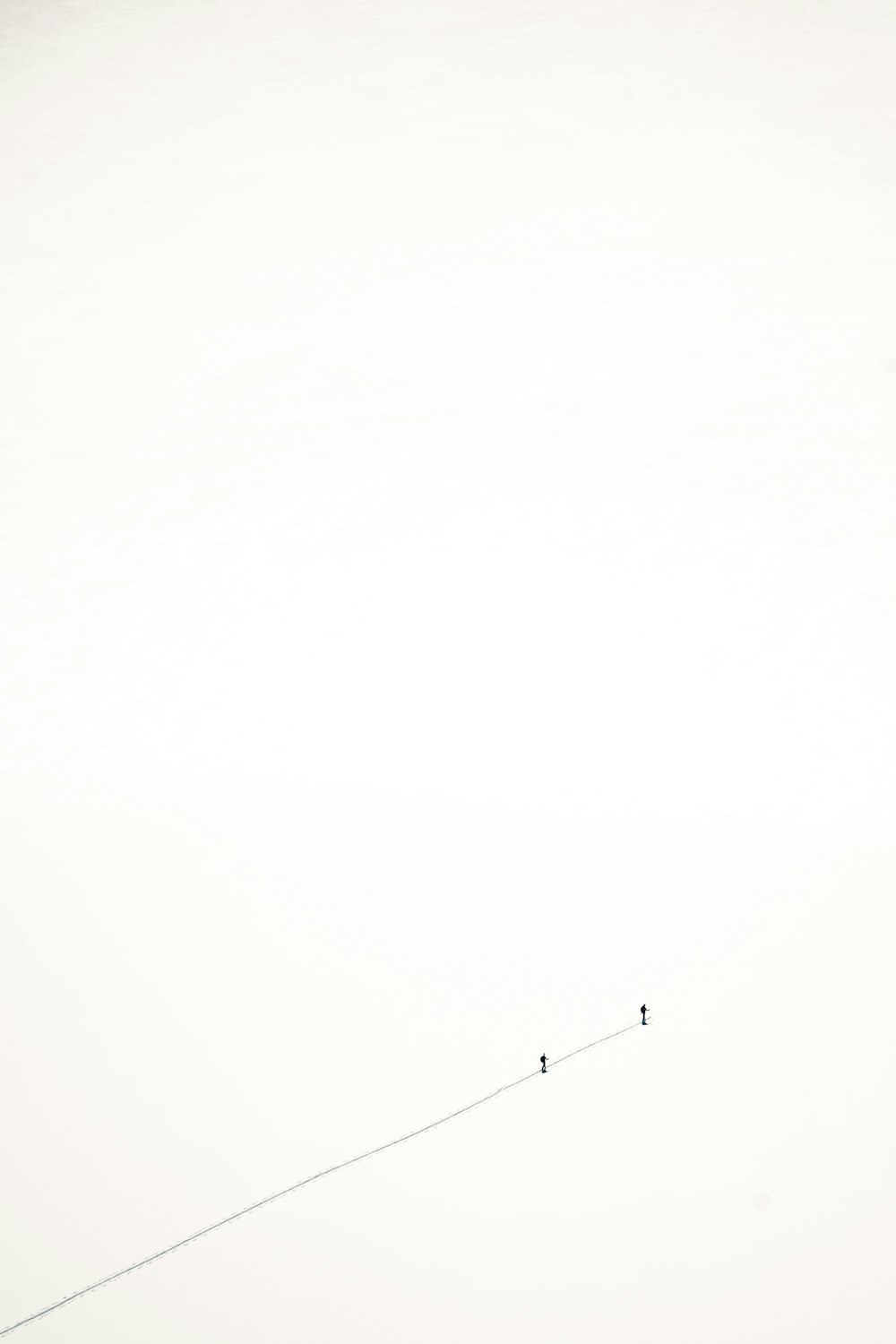 two birds sitting on a wire in the snow