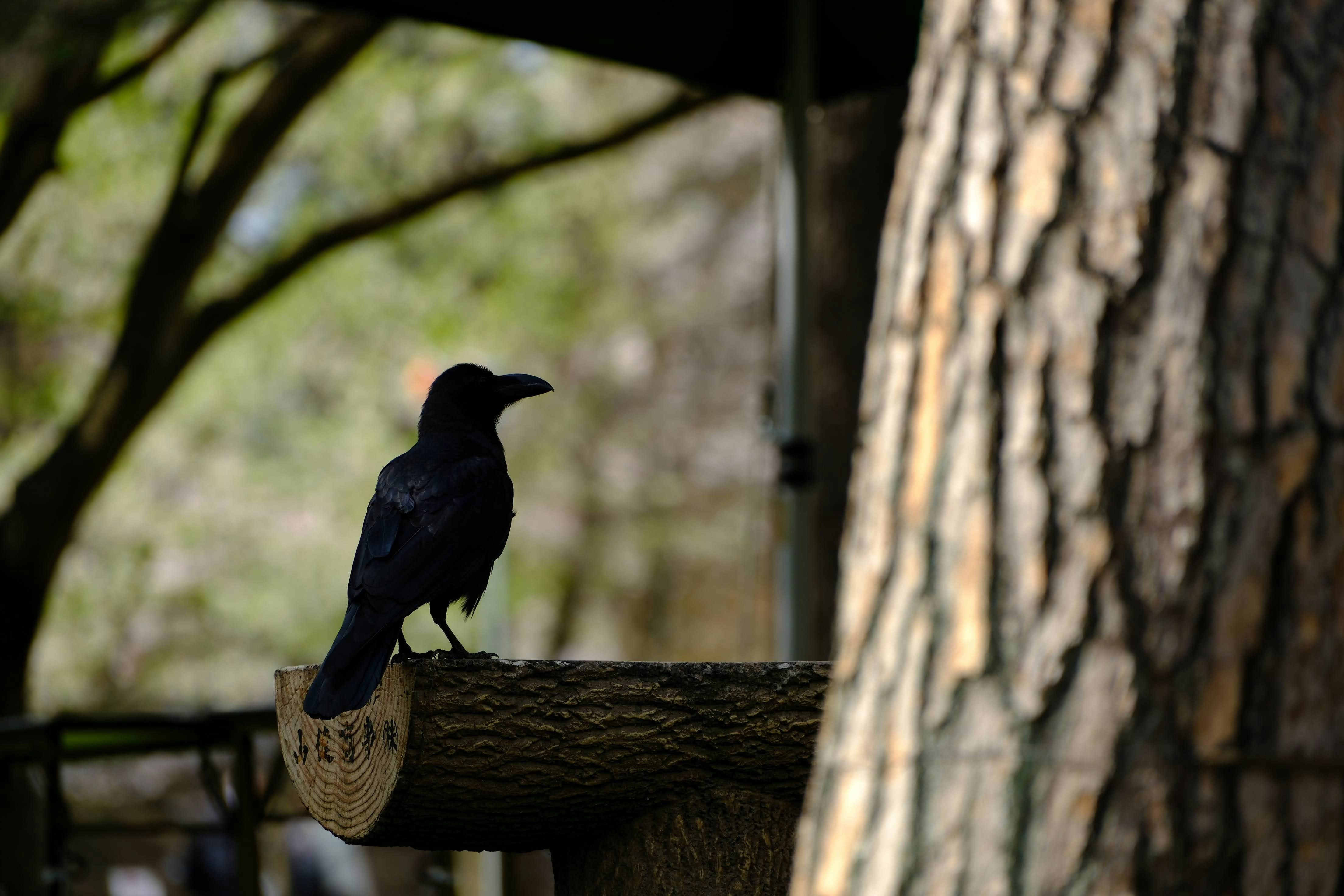 Photo by seiya_maeda