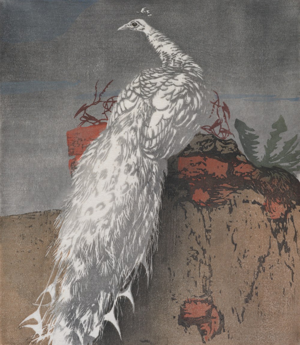 un oiseau blanc debout au sommet d’un rocher