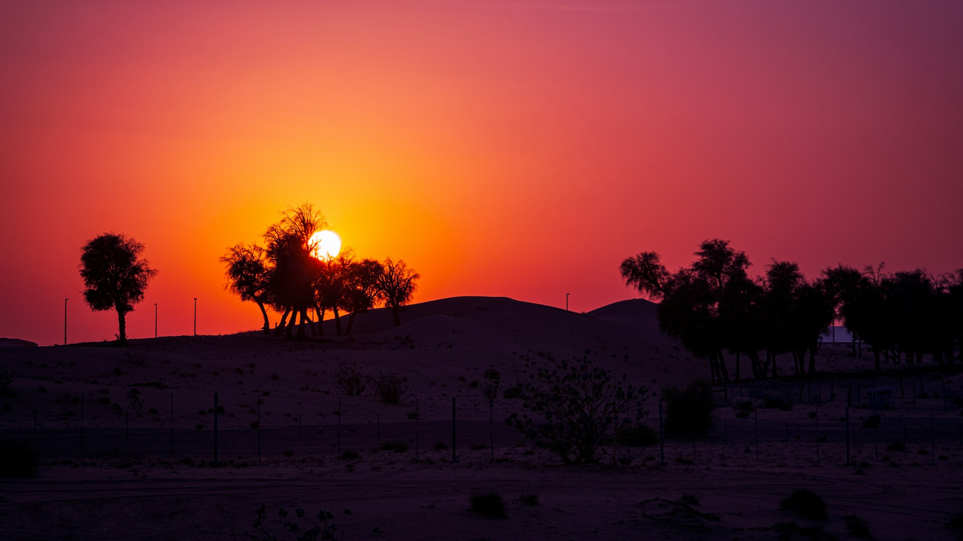 the sun is setting over a desert landscape