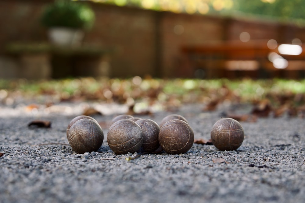 a group of nuts sitting on top of a gravel road