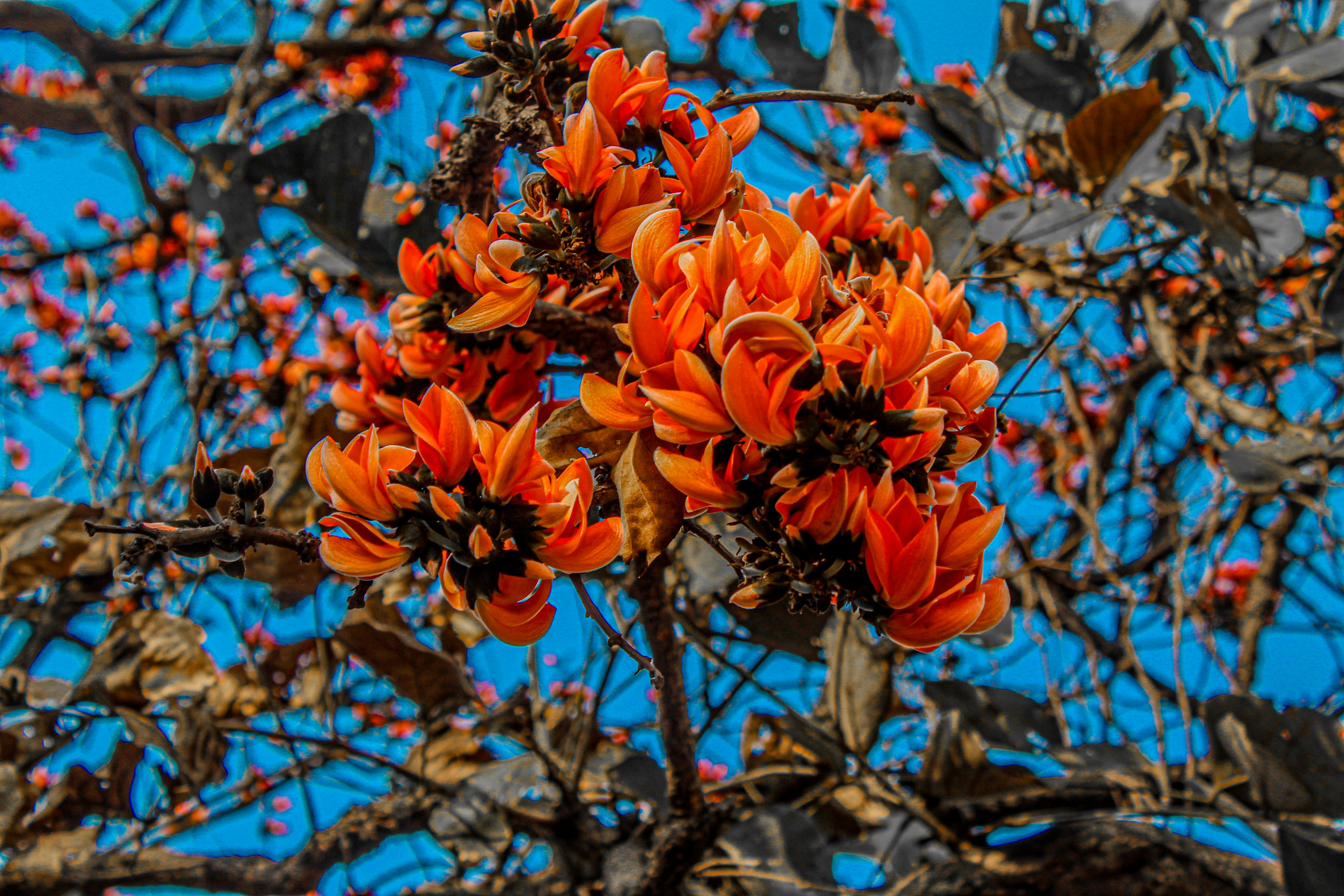 Photo by professional_editz