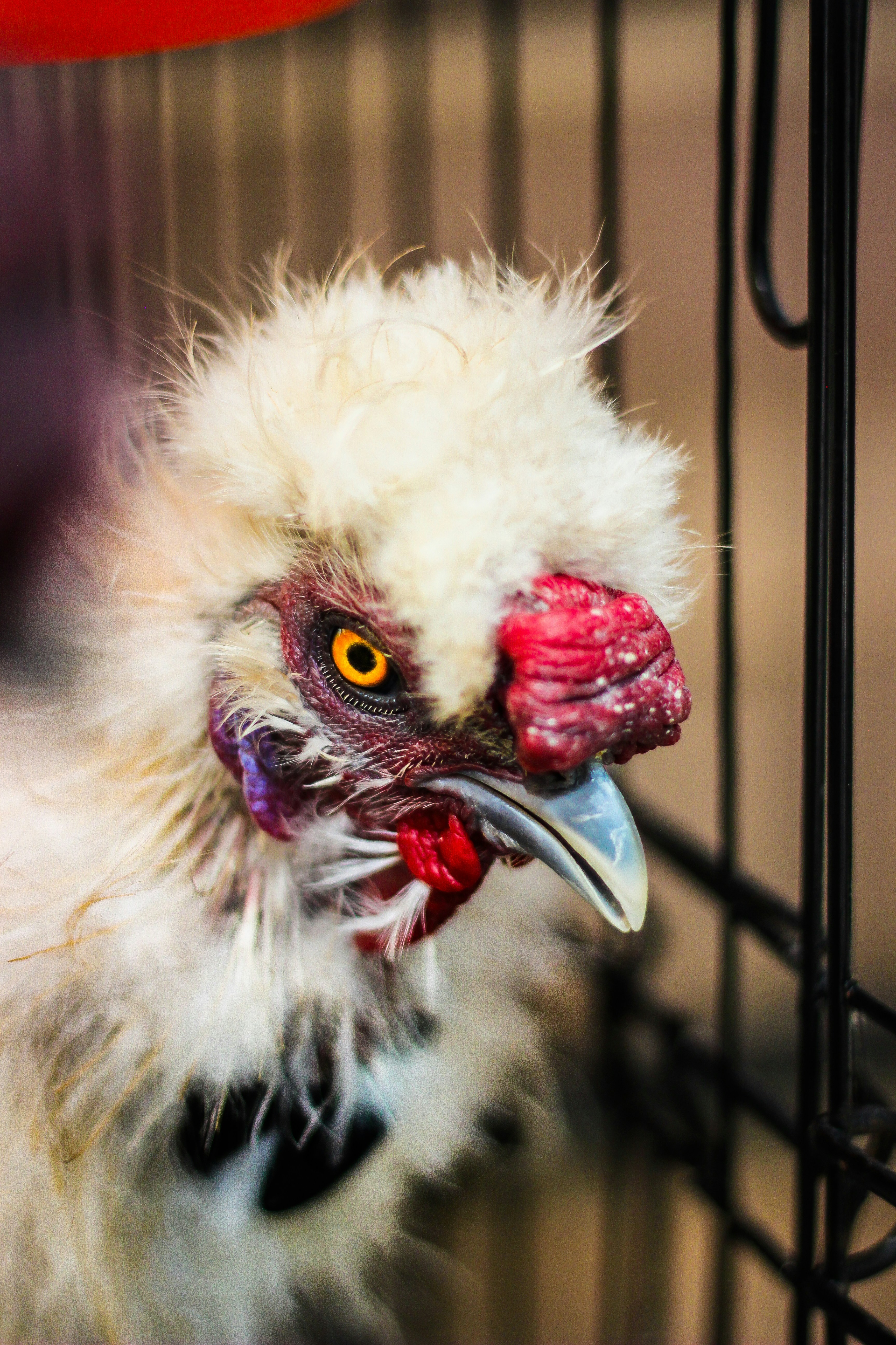 Photo by joylynn_goh