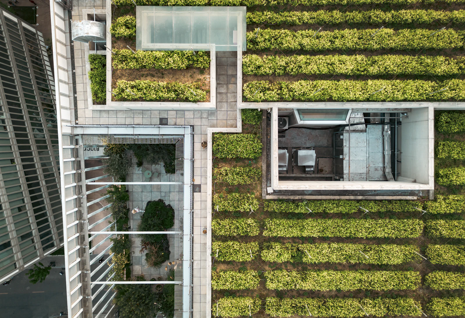 Aerial view of a modern building surrounded by lush vegetation and green roof