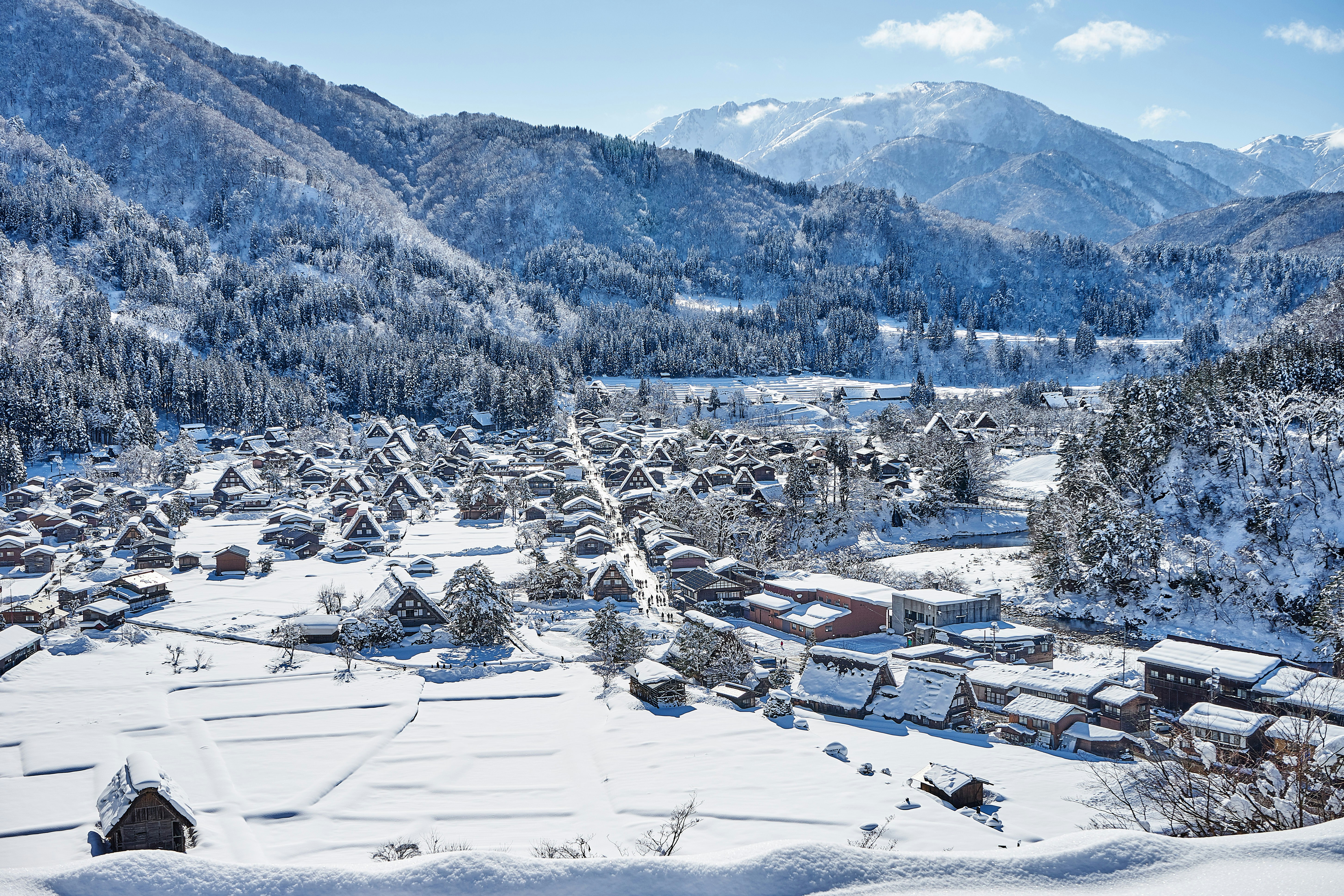 Photo by da_shika_photo