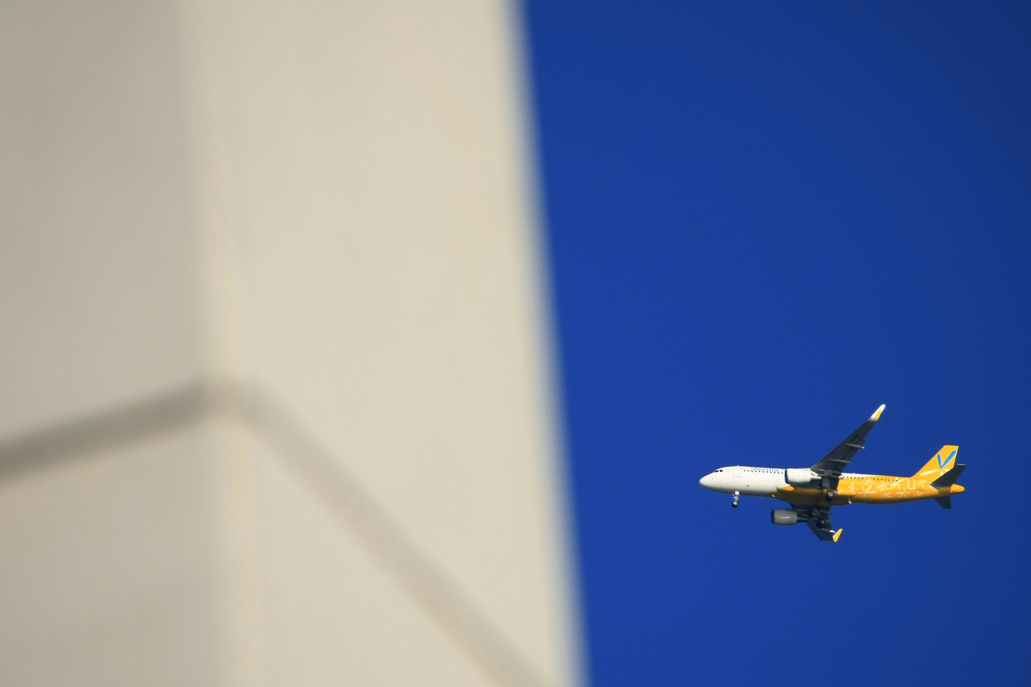 Photo by da_shika_photo