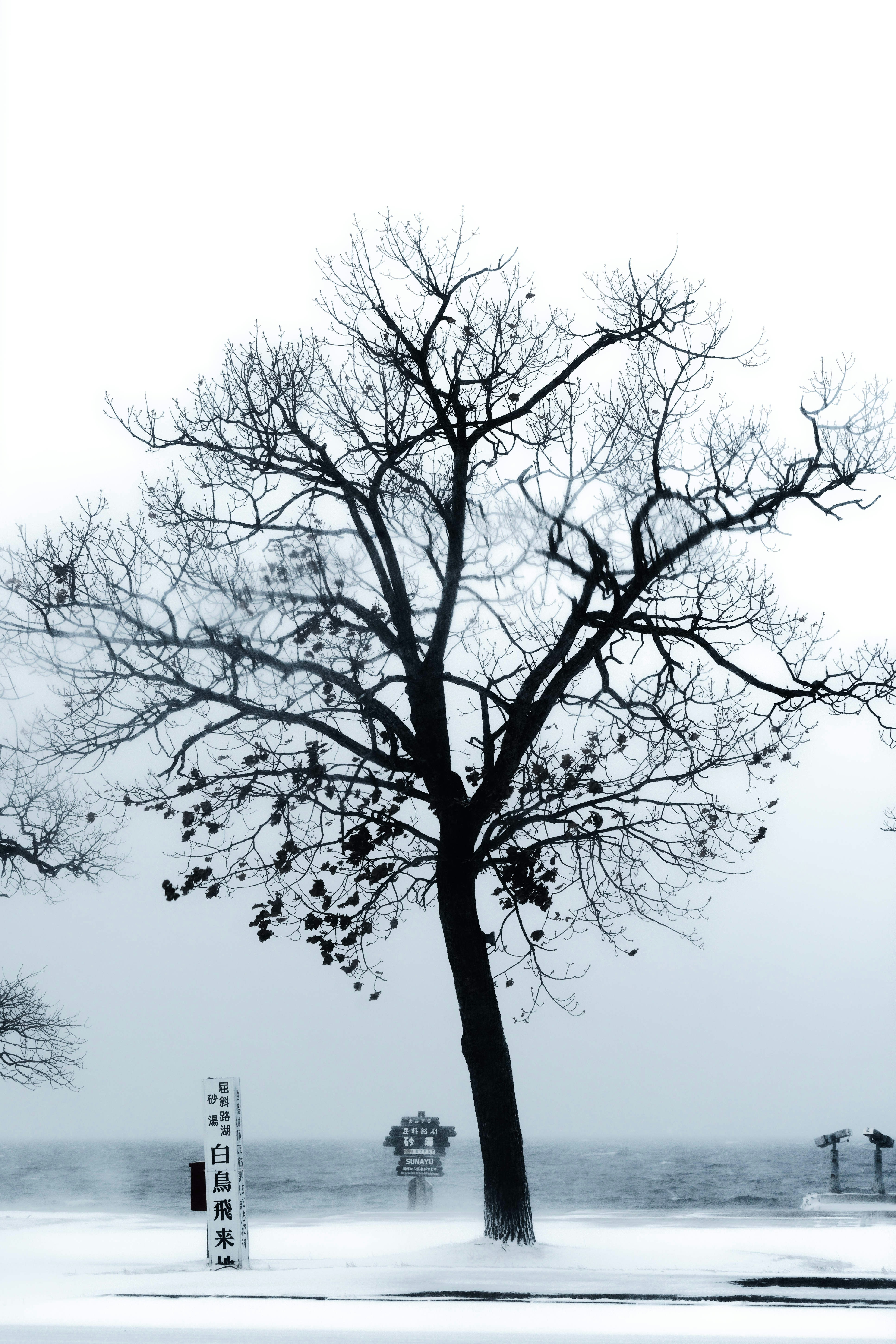 Photo by da_shika_photo