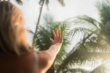 A person with light brown hair extends their hand towards palm trees, with sunlight filtering through the leaves.