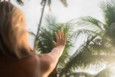 A person with light brown hair extends their hand towards palm trees, with sunlight filtering through the leaves.