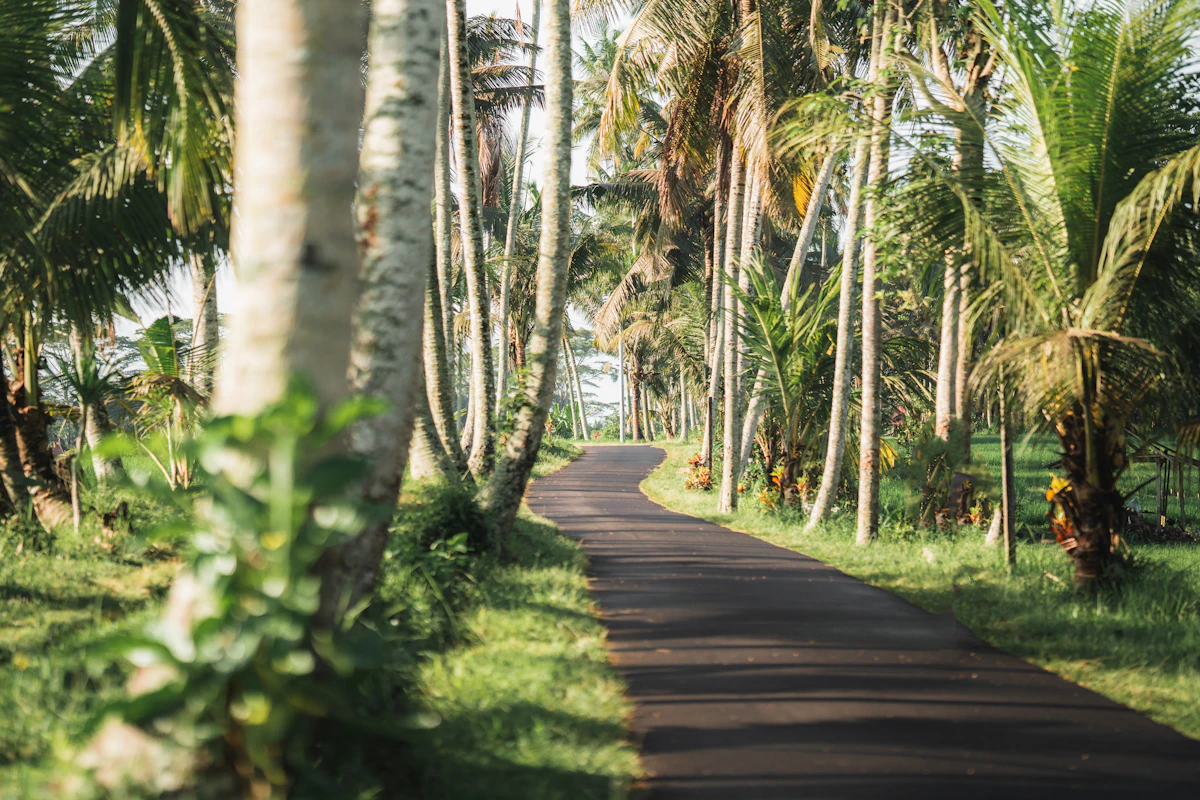 Comment configurer une eSIM pour Bali : étape par étape