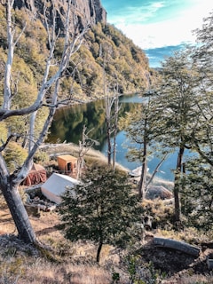 A tranquil lake surrounded by trees, perfect for camping activities.