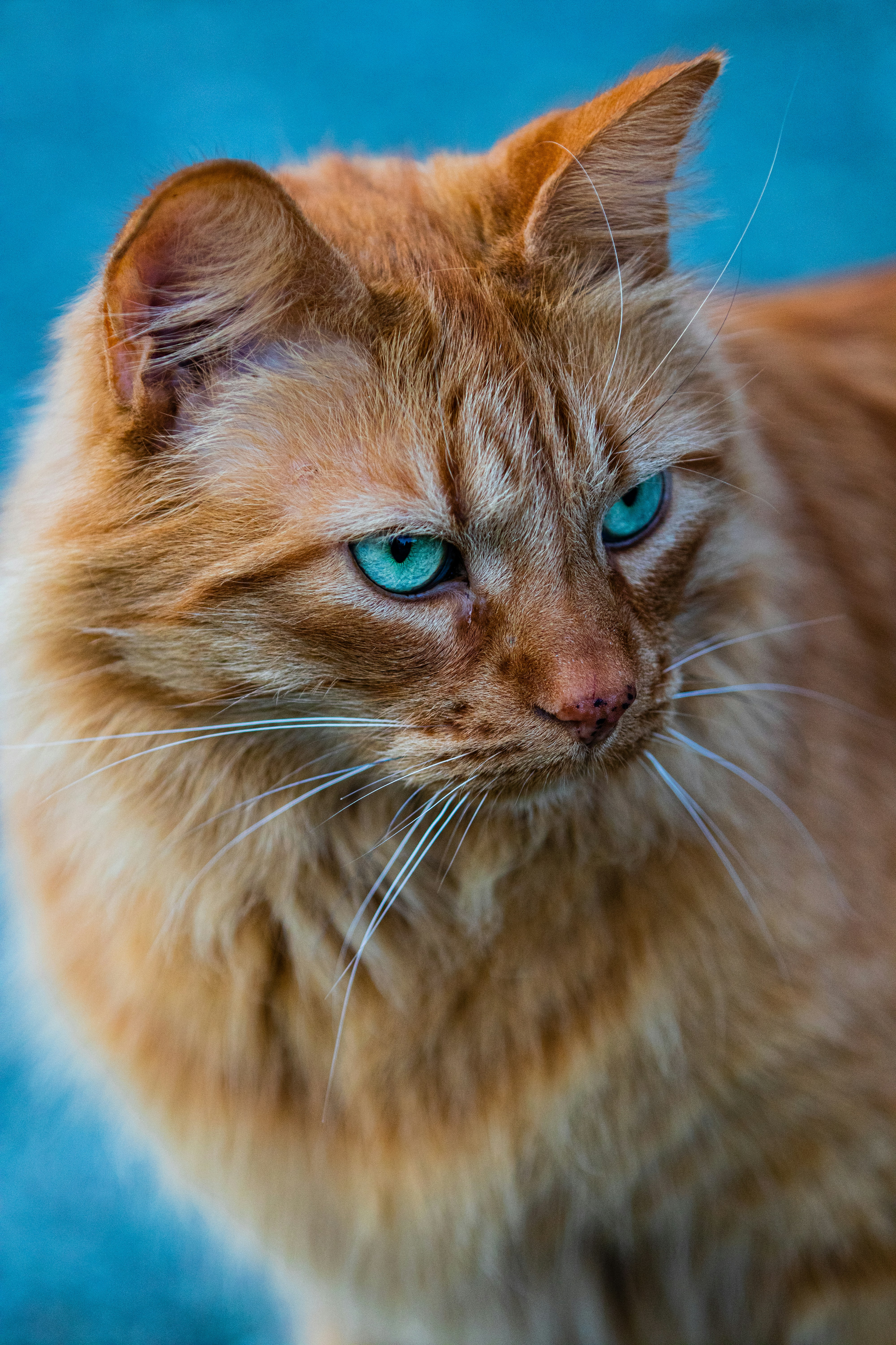 Photo by painchaud12