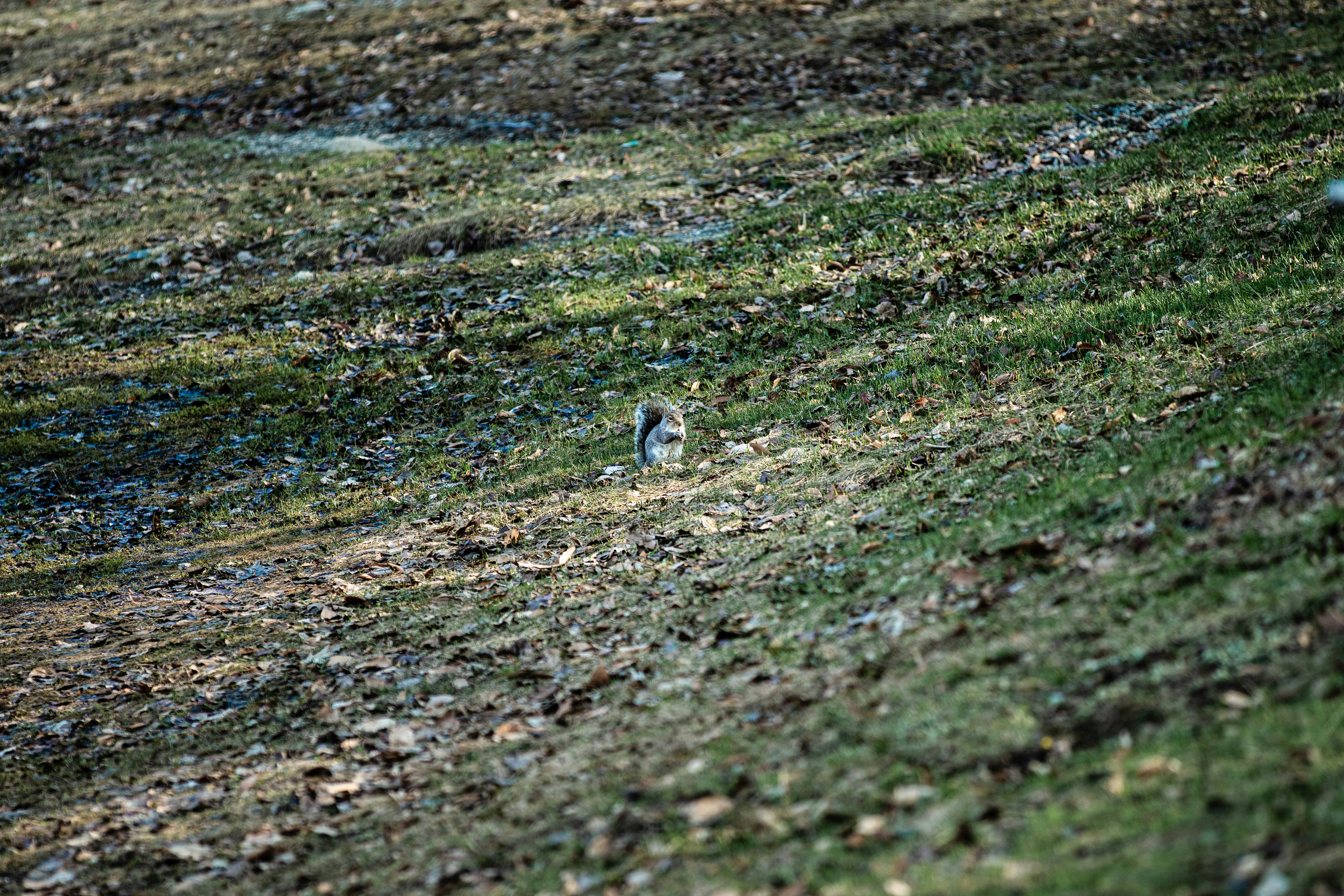 Photo by painchaud12