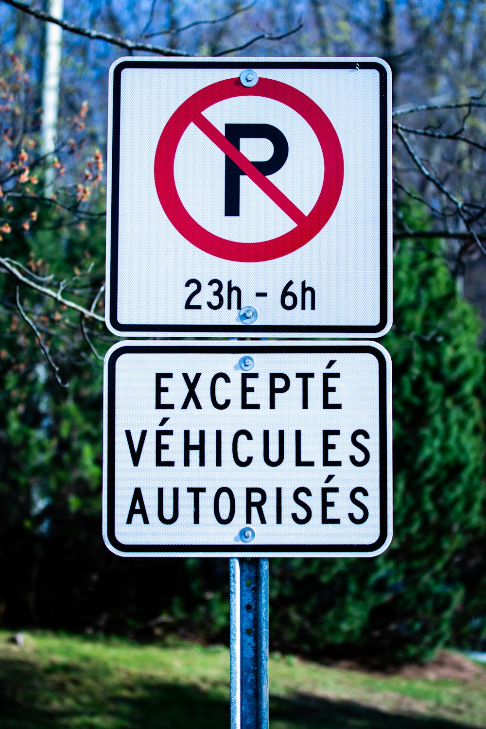 a no parking sign in front of some trees