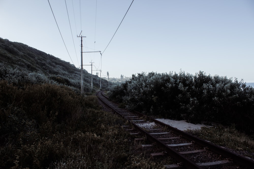 a train track going up a hill near the ocean