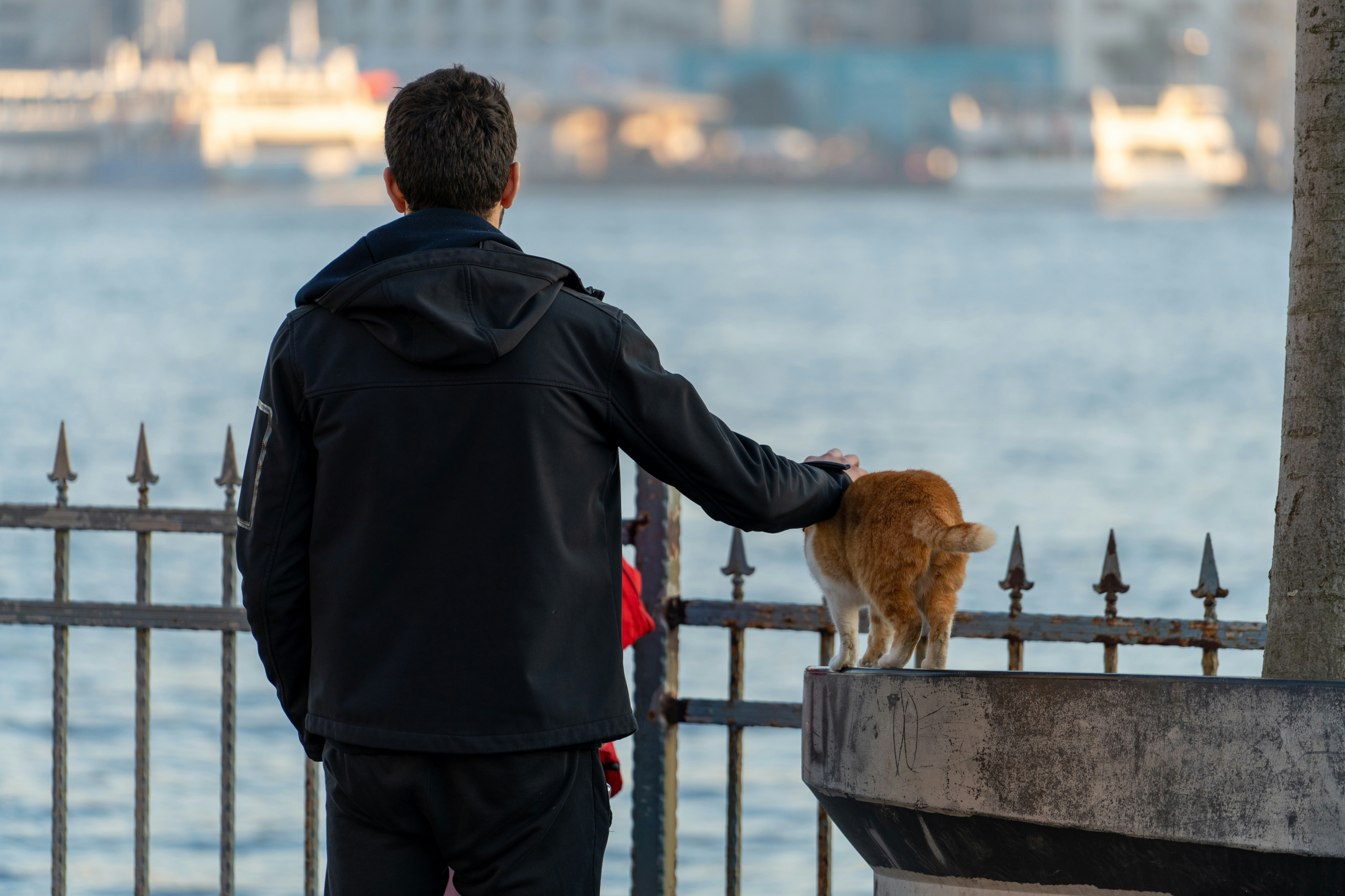 a man standing next to a fence with a cat on top of it, petting