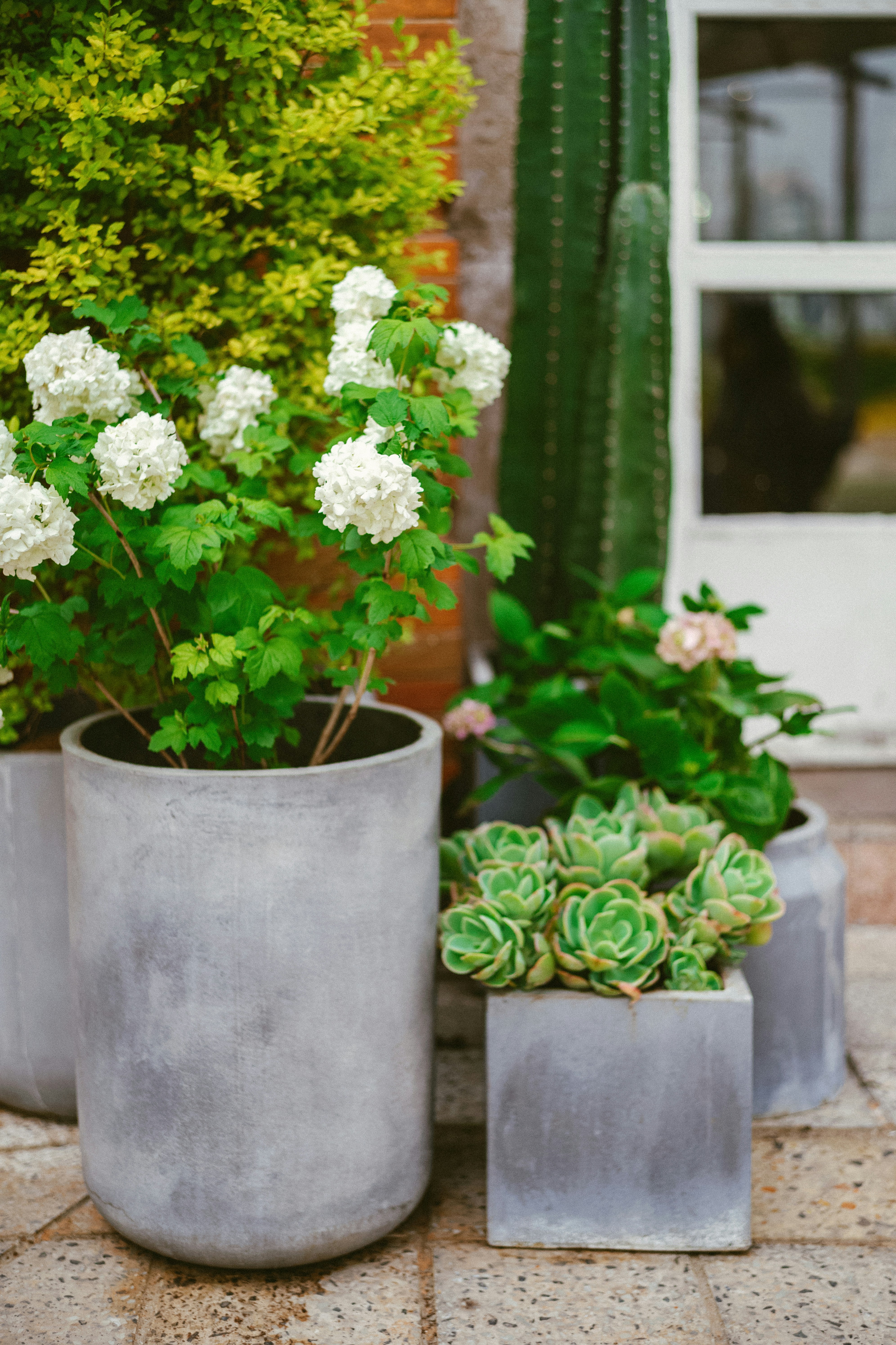 Photo by tommaomaoer