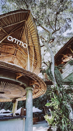 A natural setting featuring a unique architectural structure with a curved, wooden roof resembling a leaf. The building is surrounded by lush green foliage and tall trees, providing a serene and harmonious integration with nature. Beneath the structure, there is a bar area with columns supporting the roof. Wooden and concrete materials are prominently used, creating a rustic yet modern ambiance.